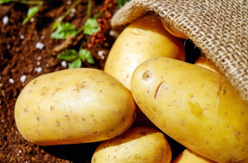 Fresh Produce
